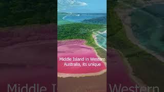 "Nature's Pink Wonder: The Enigmatic Beauty of Australia's Lake Hillier"