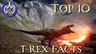 Top 10 ACTUAL Tyrannosaurus Rex Facts. A short T-rex dinosaur documentary