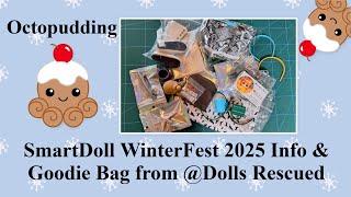 Smartdoll WinterFest 2025 Goodie Bag von Dolls Rescued