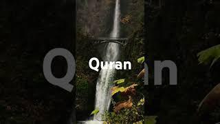 Surah Qasas ayat 88 urdu translation