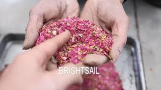 Dry hibiscus flower powder making machine from Brightsail machinery-sales012@brightsail-asia.com