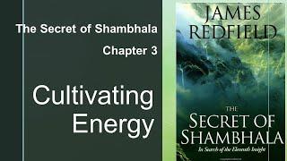 Cultivating Energy - Chapter 3 - The Secret of Shambhala in Search of the 11th Insight