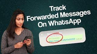 How Many Times Your Message Forwarded On WhatsApp Messenger? | Whatsapp Forwarded Message Trick