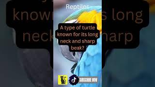 Amazing Animal Facts Unveiled Mammal Bird Reptile Fish Amphibian Discover unknow | Like & Subscribe