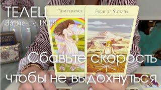 ТЕЛЕЦ : Сбавьте скорость, чтобы не выдохнуться! | Затмение 18.09 2024