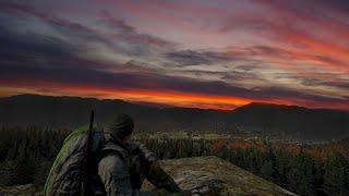 DAYZ ПАТЧ 1.22 \ DAYZ в поисках СУМКИ \ DAYZ ОБНОВЛЕНИЕ 1.22