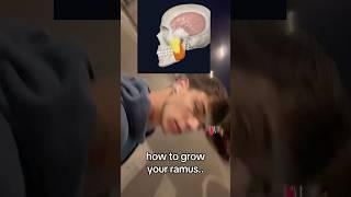 how to grow your ramus #looksmaxing #jawline #mog