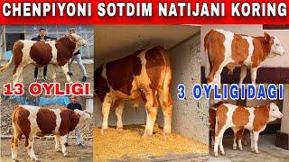 OZIMNI BUQAMNI SOTDIM KICHKINALARIDAN SOTIB OLAMAN ️+998999759868