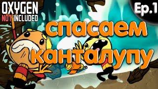 Oxygen Not Included. Спасите мою базу. 1 серия