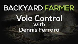 Vole Control