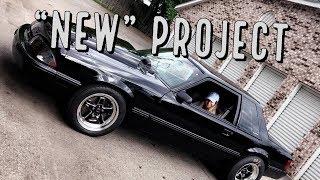 Notchback Mustang Shop Car Intro!