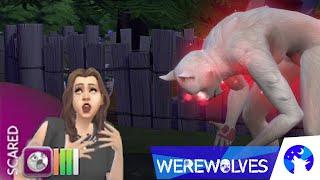 HONEST first look at WEREWOLVES in The Sims 4  GAMEPLAY#1