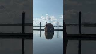 Lady in the Marina #art #alabama #outlander #lady #water #marina #mermaid #artist #unitedstates