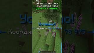 IP: flapymc.ru #funtime #flapymc #reallyworld #анархия