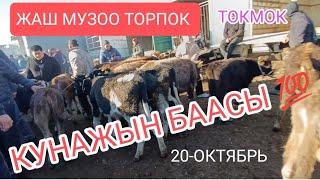 ЖАШ МУЗОО ТОРПОК КУНАЖЫН БААСЫ ТОКМОК МАЛ БАЗАР 20/10/24/