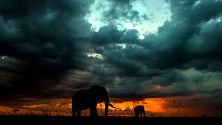1 Hour of African Drums djembe, dunumba, instrumental