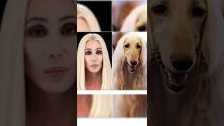 comparison funny video #comparisonvideo #funny #entertainment #fun #jokes #funnyvideos #lol #tiktok