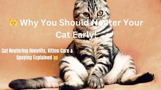 Why You Should Neuter Your Cat Early! | Purrfectly Posh