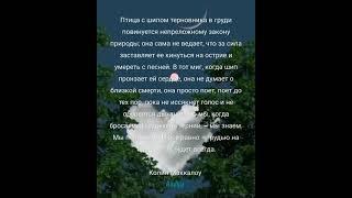 Птица с шипом терновника.../ озвучивает Мкртчян Анаит/#колинмаккалоу  #книга #рек  #птица #писатели