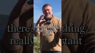HSPs Are Born Facilitators | Here’s Why You Must Trust That