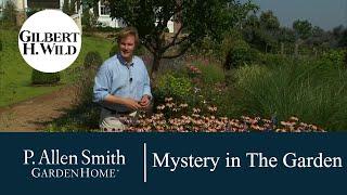 Adding a Touch of Mystery to the Garden | Garden Home (912)