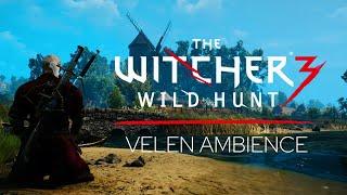 Witcher 3 - Velen - Music & Ambience - Meditate like a Witcher