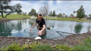 THE POND IS FLOODING! - DAY 63