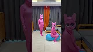 Pinki riding a Yoga ball loop