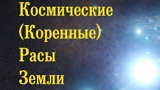 Космические (Коренные) Расы Земли