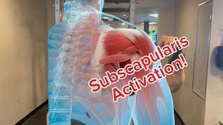 Subscapularis activation!