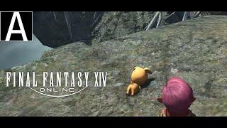 Casual ARR Dailies. Maybe Rival Wings | Final Fantasy XIV