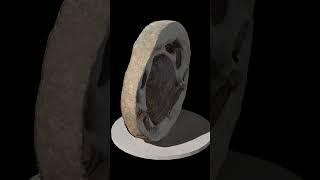 One way these crab concretions form #fossil #mystery #science #nature