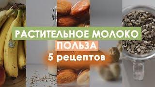 Как сделать растительное молоко?/ 5 РЕЦЕПТОВ/ + Польза растительного молока