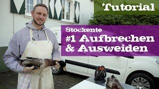 Stockente #1 Aufbrechen und Ausweiden