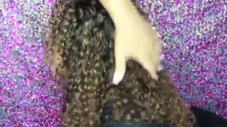 HOW TO  Easy NO HEAT perfect Curls ft Novex My Curls