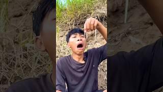 Survival skill: water purification in the wild #camping #survival #outdoors#bushcraft