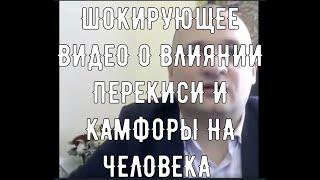 Что лечат перекись водорода и камфорный спирт ?.Два компонента для восстановления вашего здоровья.