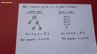 6.sınıf çarpanlar, asal çarpanlar 6th grade math @Bulbulogretmen #matematik #6sınıf #keşfet