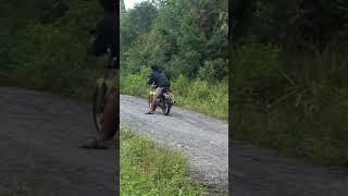 krakalan #tanjakan