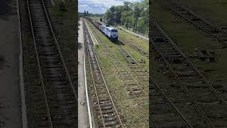 TE33AC-3006 [CFM] Freight train | Грузовой поезд #shorts