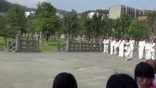 Wudang Bajiquan Performance