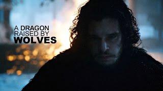 Jon Snow | A Dragon Raised By Wolves [GoT]