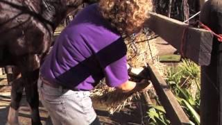 How to tie up a Hay Net