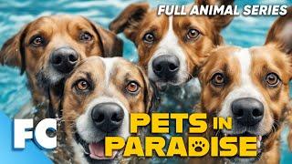 Pets In Paradise (2/26) | Season 1 Episode 2: Wet Dog | Full Animal Documentary TV Show | FC