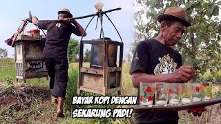 TRADISI UNIK! JUALAN KOPI DAN GORENGAN DI TENGAH SAWAH DIBAYAR PADI SEKARUNG!