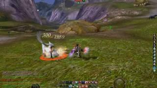 Aion Assassin: how to use weaving