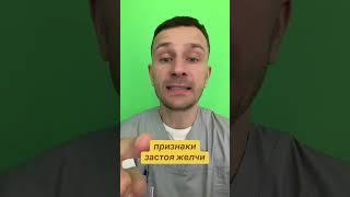 желчный пузырь, застой желчи, желчь, отток желчи, густая желчь,