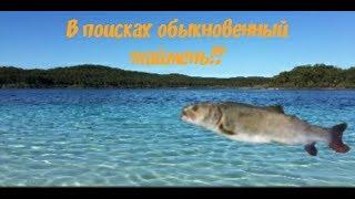 21) My Fishing World впоисках обыкновенный таймень часть1.