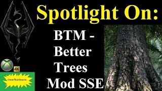 Skyrim (mods) - Spotlight On: BTM - Better Trees Mod SSE