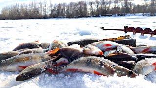 Рыбалка ДЛЯ НОВИЧКА. Улов станет больше если посмотришь видео.